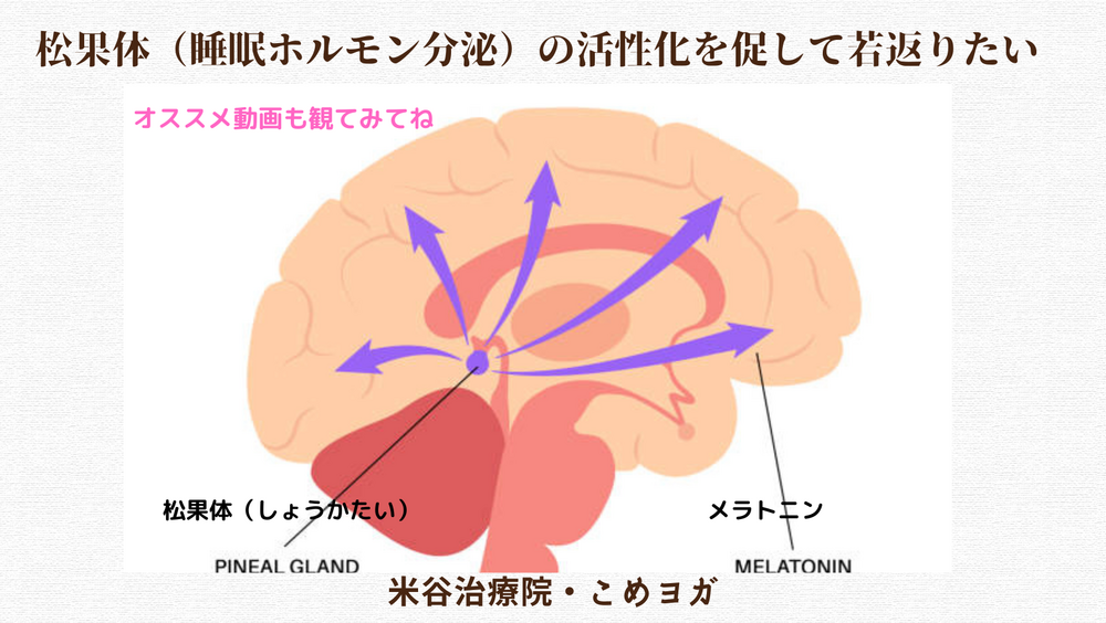 松果体（睡眠ホルモン分泌）の活性化を促して若返りたい